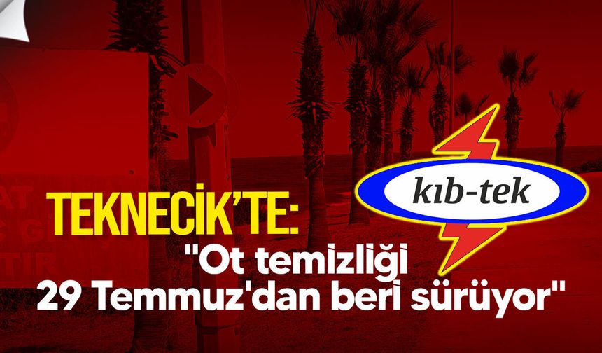 KIB-TEK'ten Teknecik açıklaması: "Ot temizliği 29 Temmuz'dan beri sürüyor"