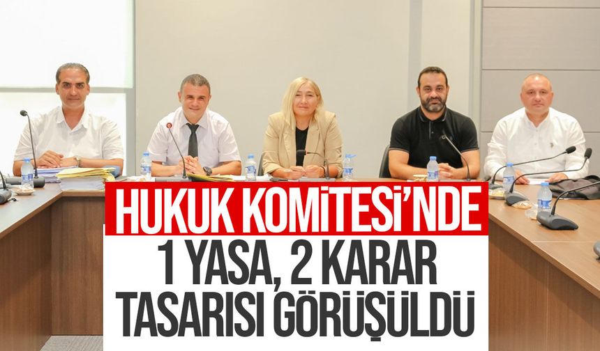 Meclis Komitesi Ateşli Silahlar Değişiklik Yasa Tasarısı’nı görüşmeye başladı