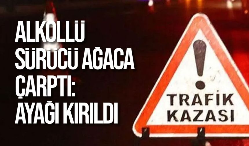 Mehmetçik-Çayırova yolunda alkollü sürücü ağaca çarptı: Ayağı kırıldı
