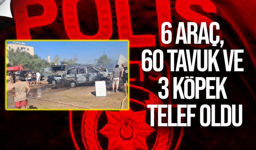 Metehan'daki yangının bilançosu ağırlaştı