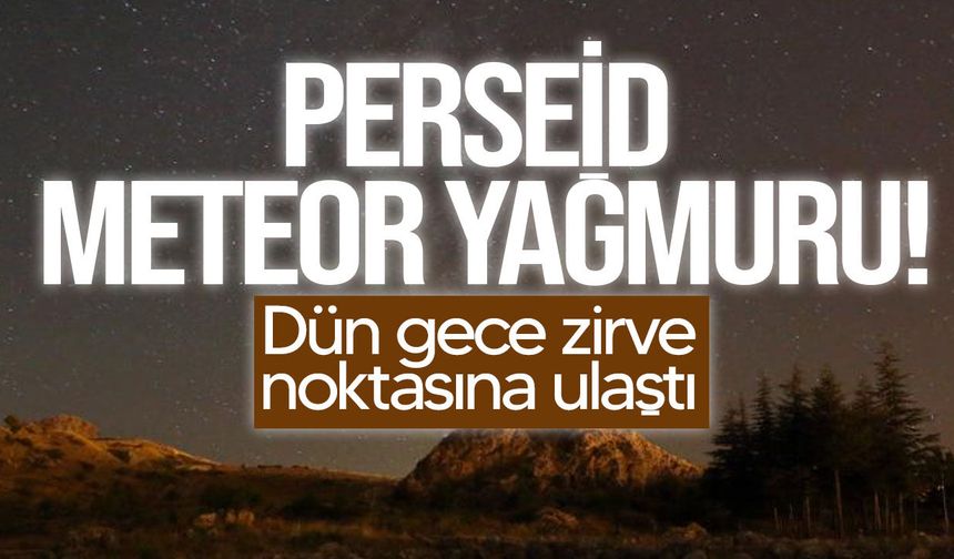 Perseid meteor yağmuru zirve yaptı: Gökyüzü şöleni iki hafta daha sürecek