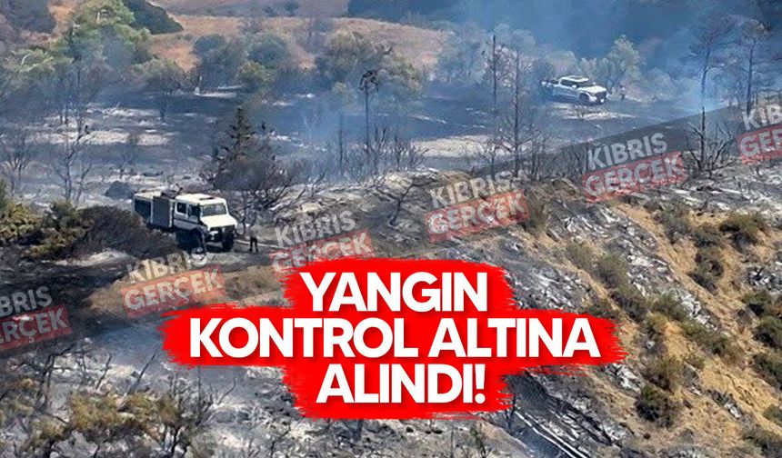 Tirmen’deki orman yangını kontrol altına alındı: Soğutma çalışmaları sürüyor