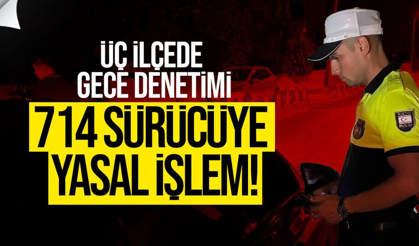 Üç ilçede eş zamanlı denetim