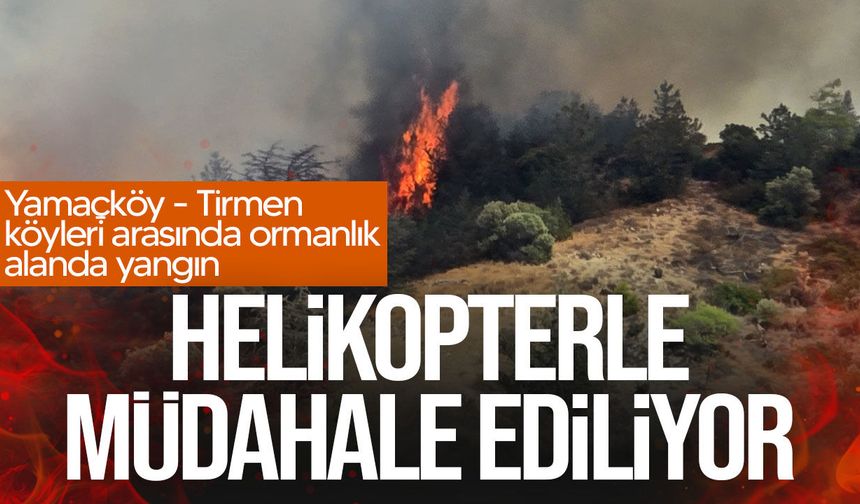 Yamaçköy-Tirmen arasında orman yangını: Helikopterle müdahale ediliyor!