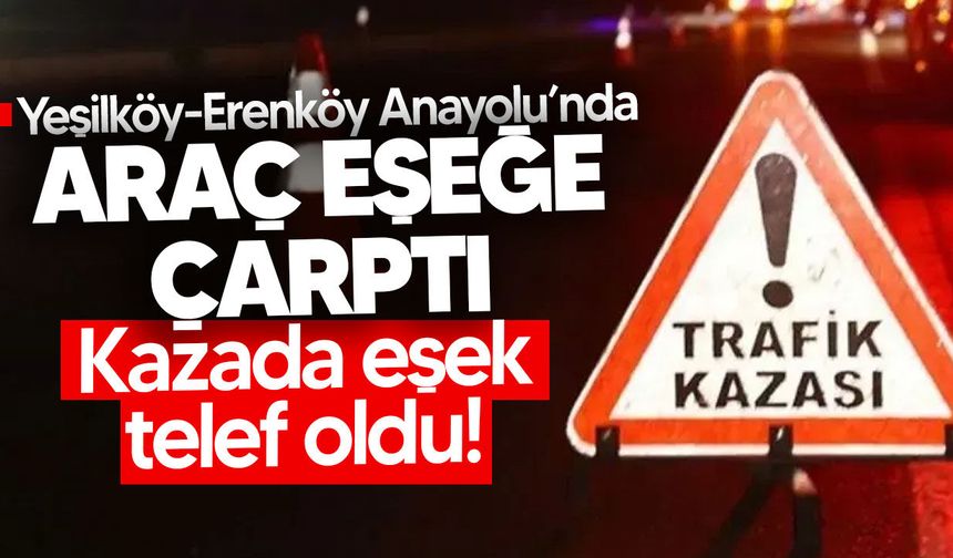 Yeşilköy-Erenköy Anayolu’nda araç eşeğe çarptı