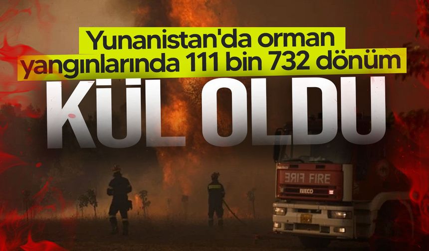 Yunanistan’da yangın felaketi: 111 bin 732 dönüm alan küle döndü