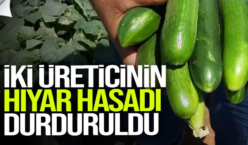 3 üründe limit üstü bitki koruma ürünü tespit edildi