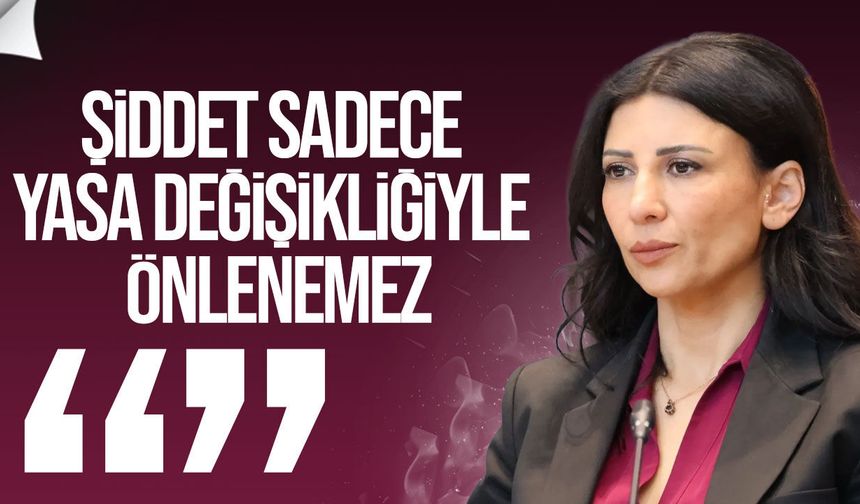 Özdenefe: Ev İçi Şiddet Yasası yok diye düzenleme yokmuş algısı yaratılmamalı