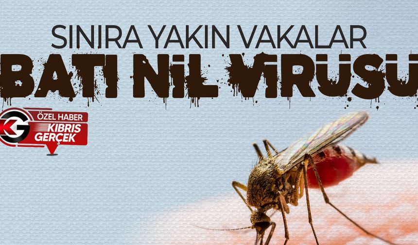 Batı Nil virüsü Kıbrıs’ta yayılıyor