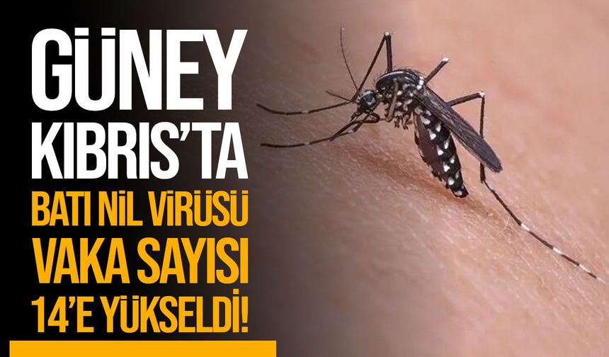 Güney Kıbrıs'ta Batı Nil Virüsü vakaları artıyor