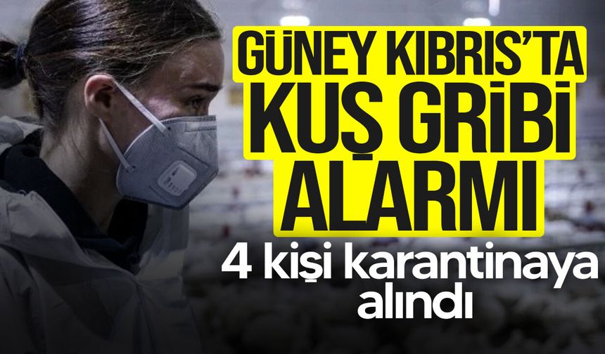 Güney Kıbrıs’ta kuş gribi alarmı: 4 kişi karantinada, ikinci kaz da ölü bulundu