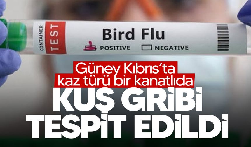 Güney Kıbrıs’ta kuş gribi alarmı: Athalassa Parkı’nda H5N1 tespit edildi