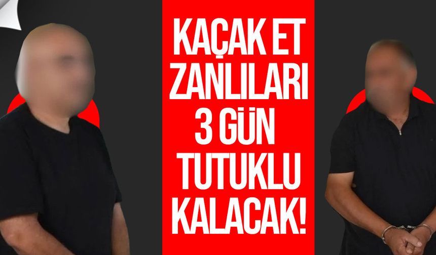 Güney’den 233 karkas kuzu getirildi