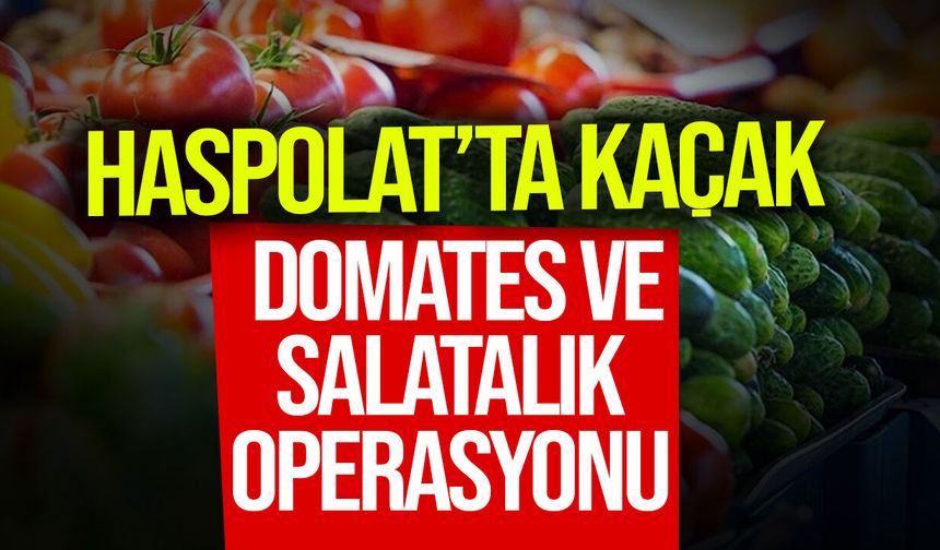 Haspolat'ta yüklü miktarda kaçak domates ve salatalık ele geçirildi: 1 tutuklu!