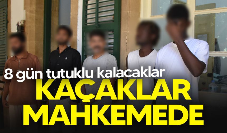 Kaçaklar mahkemeye çıkarıldı!