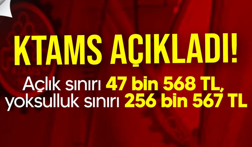 KTAMS açıkladı: Açlık sınırı 47 bin 568 TL, yoksulluk sınırı 256 bin 567 TL