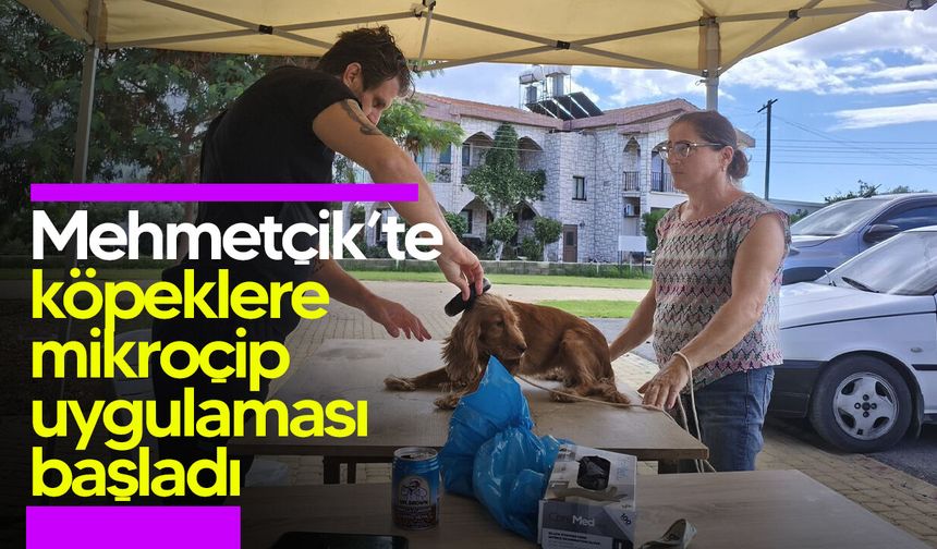 Mehmetçik’te köpeklere mikroçip uygulaması başladı: İlk gün 21 kayıt