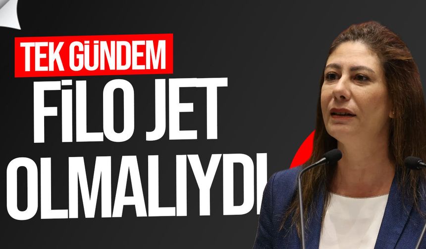 Sıla Usar İncirli’den Meclis gündemine tepki