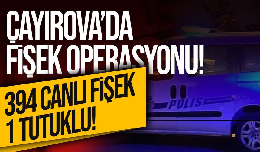 Çayırova’da 394 av tüfeği fişeği ele geçirildi: 1 tutuklu