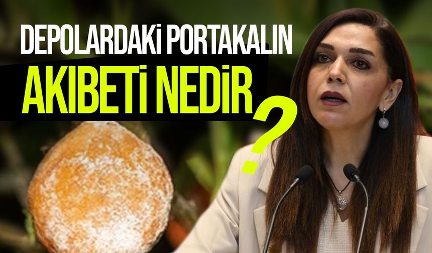 Cypfruvex’te 60 milyon TL’lik kira iddiası: Kürşat hesap sordu!