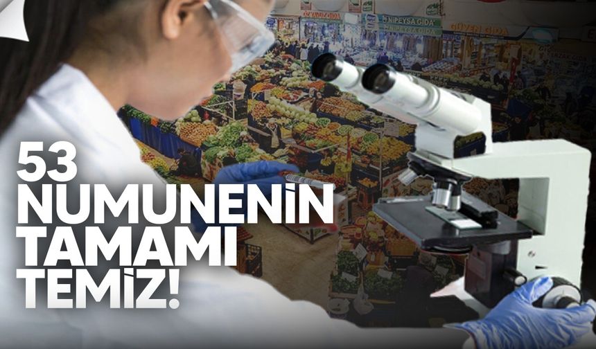 Gıda denetimlerinde 53 numunenin tamamı temiz çıktı
