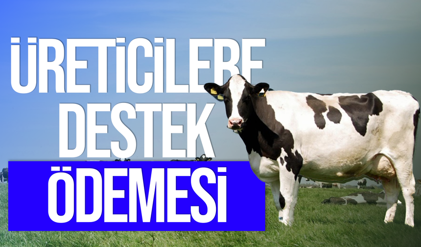 Tazminatlar ödendi