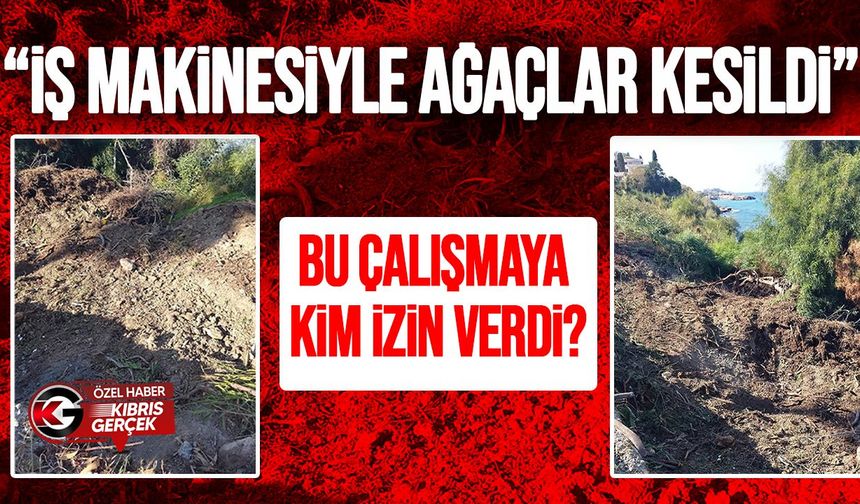 Karaoğlanoğlu’nda ağaç kesimi ve çevre tahribatı iddiası
