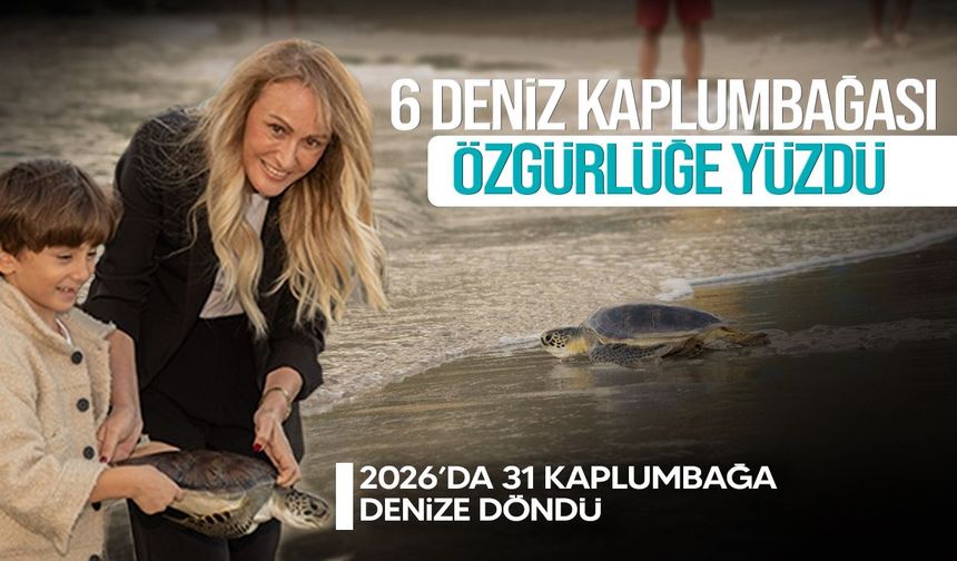 Meritta, 6 deniz kaplumbağasını doğal yaşamına kavuşturdu