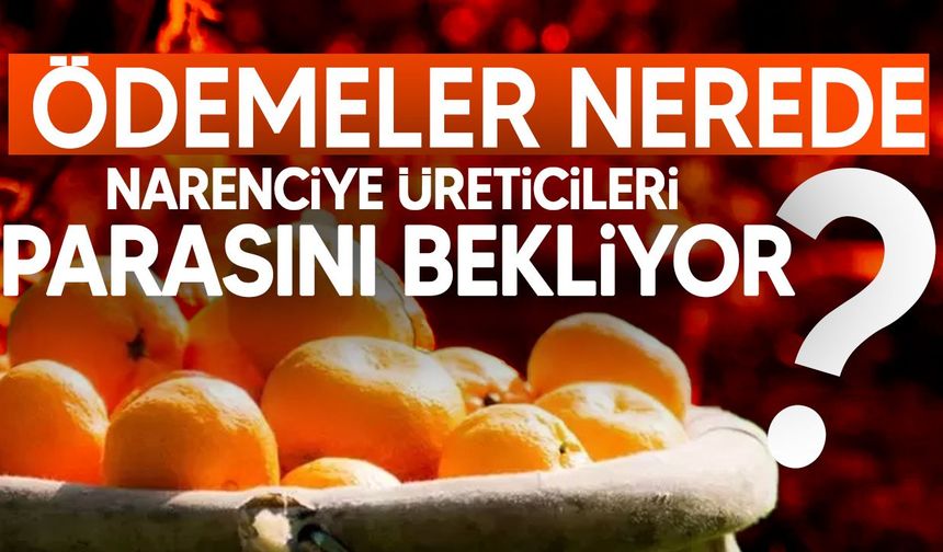 Narenciye üreticilerinden ödeme çağrısı: Üstel’e tepki