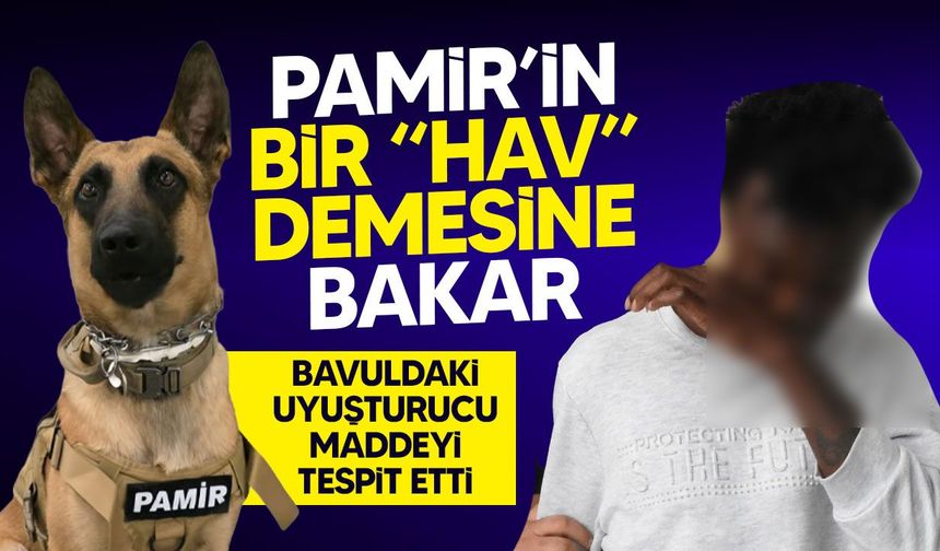 Narkotik köpeği Pamir bavuldaki uyuşturucu maddeyi tespit etti: Bir kişi tutuklandı