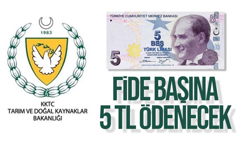 Sebze üreticilerine 5 TL'lik fide desteği verecek