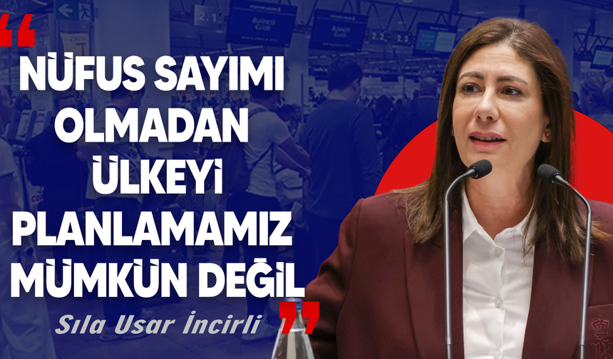 Girişlere yeni denetim