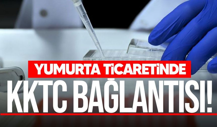 Yasa dışı yumurta ticaretinde KKTC bağlantısı: 811 işlem, 2 milyon euroluk para trafiği!
