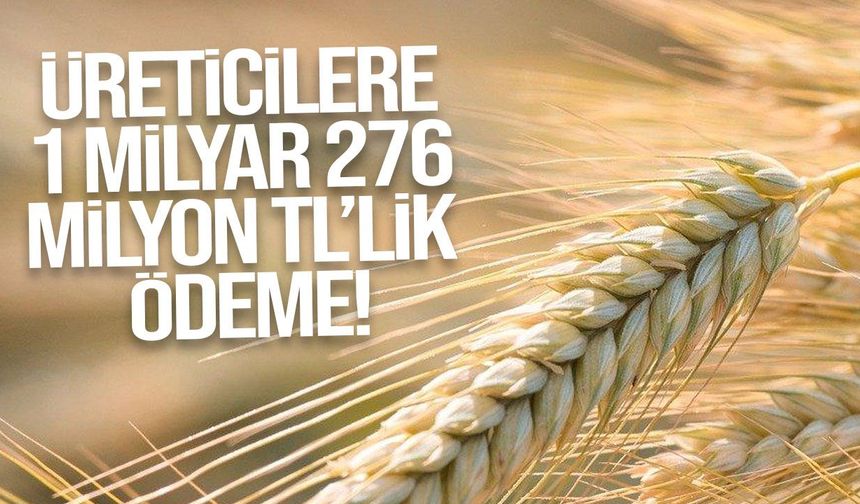 Yerli zahire üreticilerine 1,27 milyar TL’lik ödeme pazartesi başlıyor