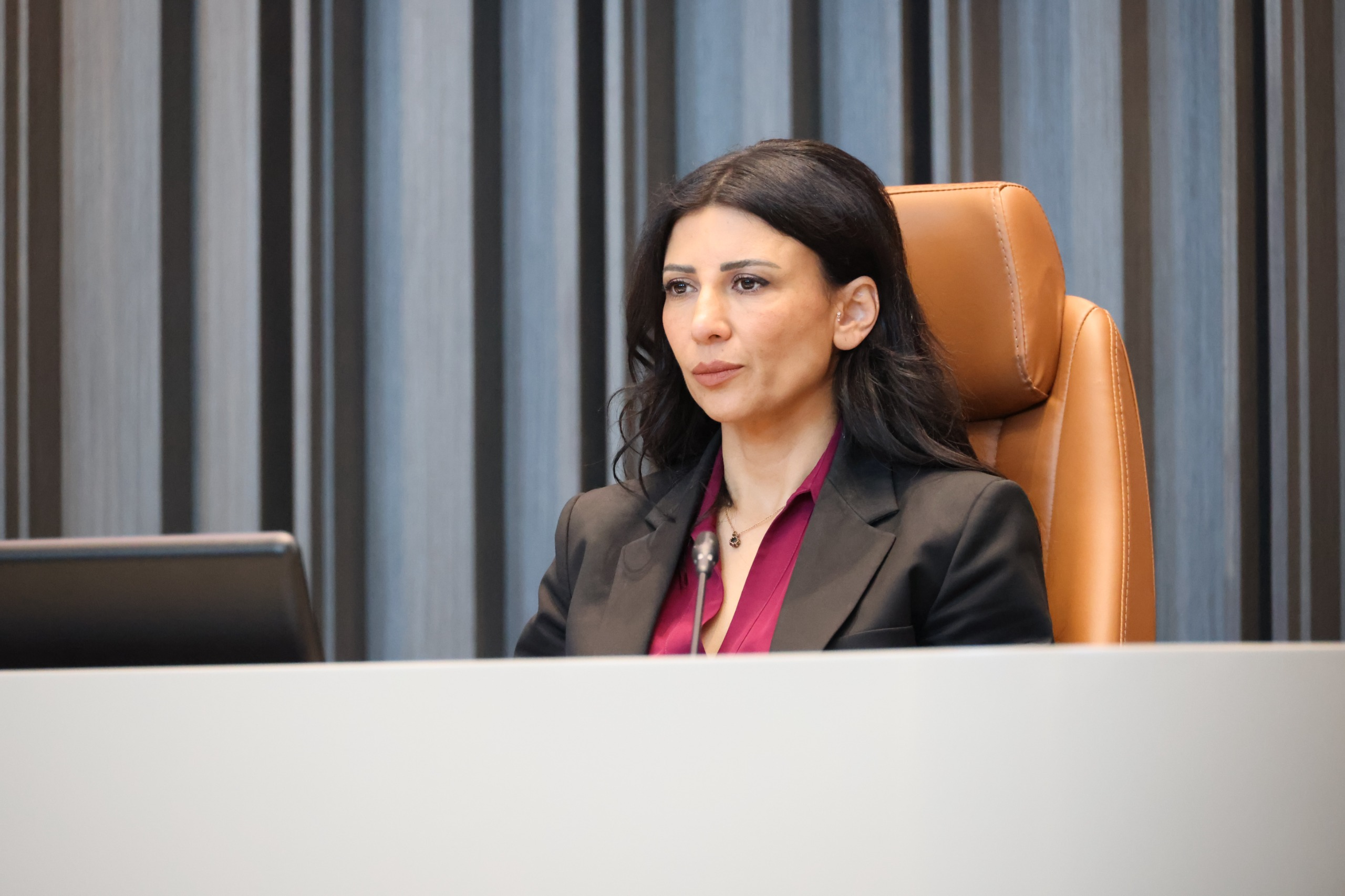 Özdenefe: Ev İçi Şiddet Yasası yok diye düzenleme yokmuş algısı yaratılmamalı