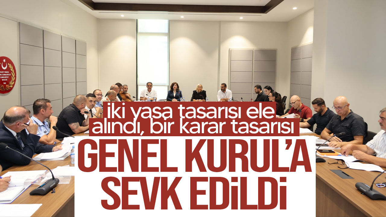 Hukuk Komitesi’nde iki yasa tasarısı ele alındı, bir karar tasarısı ise Genel Kurul’a sevk edildi
