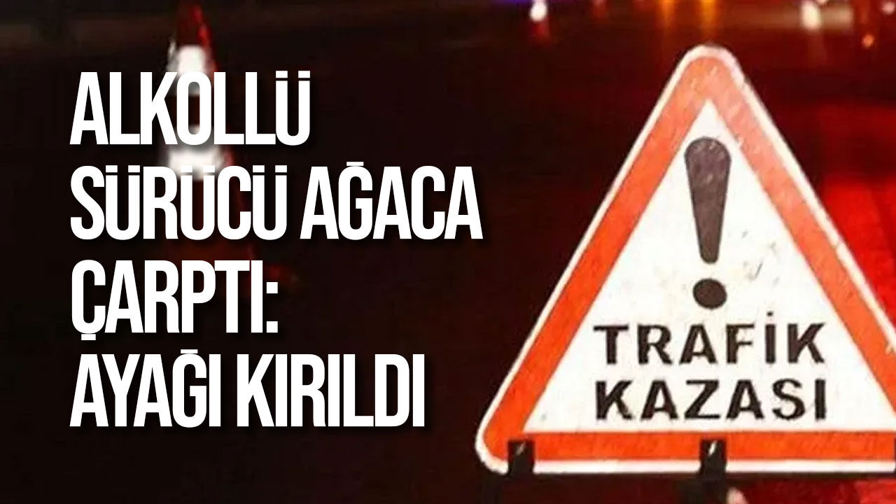 Mehmetçik-Çayırova yolunda alkollü sürücü ağaca çarptı: Ayağı kırıldı