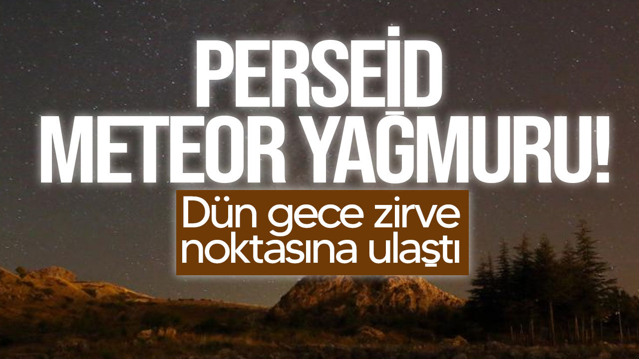 Perseid meteor yağmuru zirve yaptı: Gökyüzü şöleni iki hafta daha sürecek