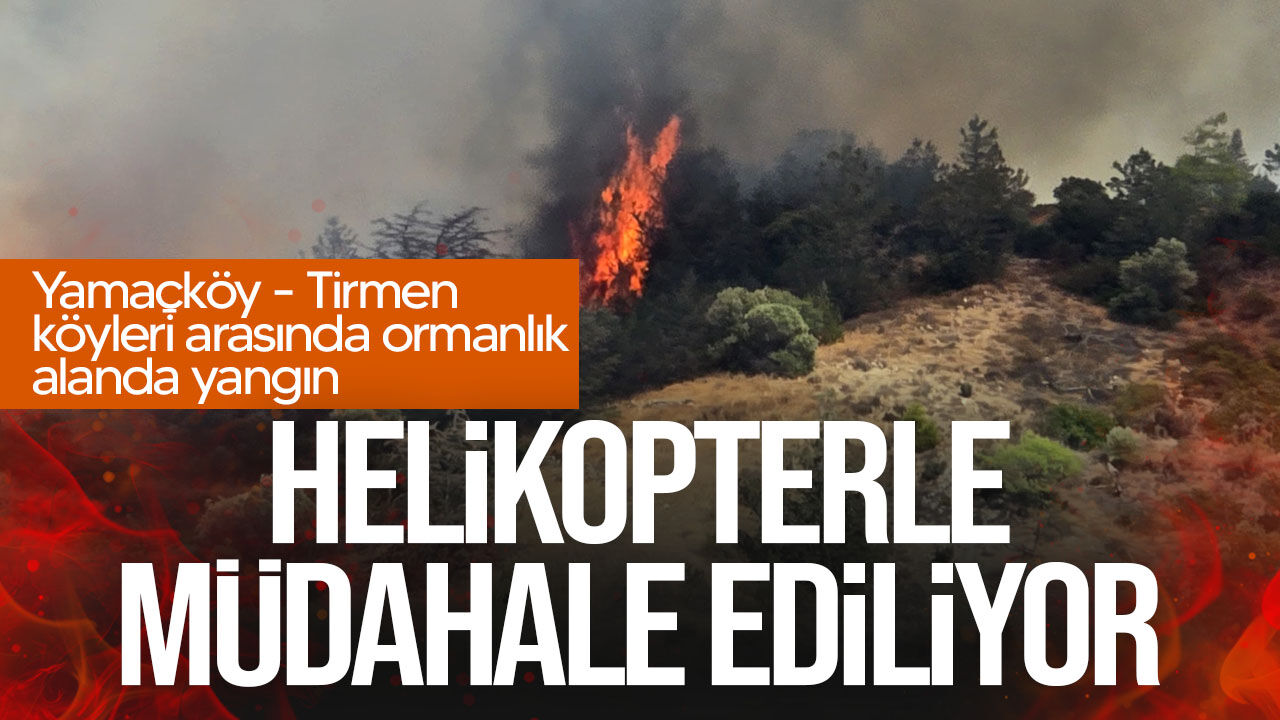 Yamaçköy-Tirmen arasında orman yangını: Helikopterle müdahale ediliyor!
