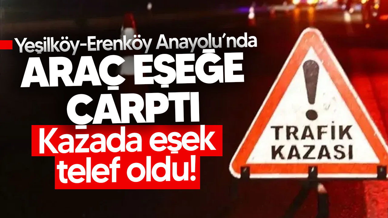 Yeşilköy-Erenköy Anayolu’nda araç eşeğe çarptı