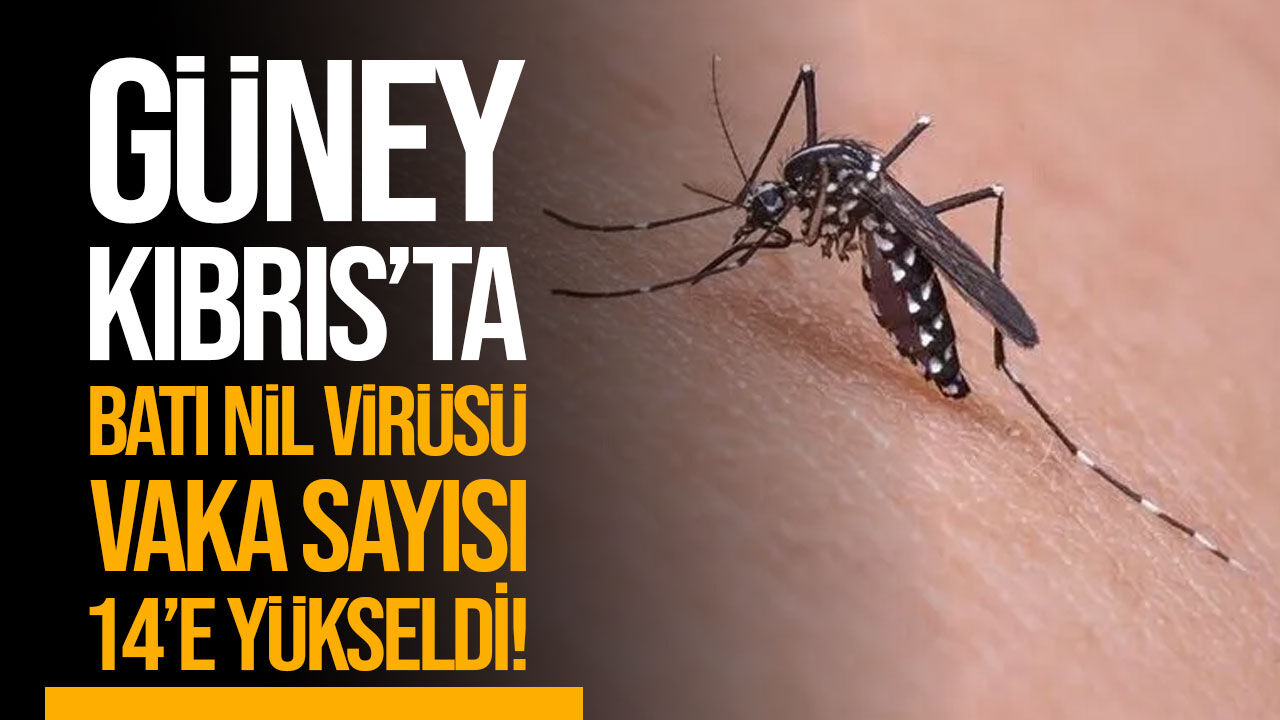 Güney Kıbrıs'ta Batı Nil Virüsü vakaları artıyor