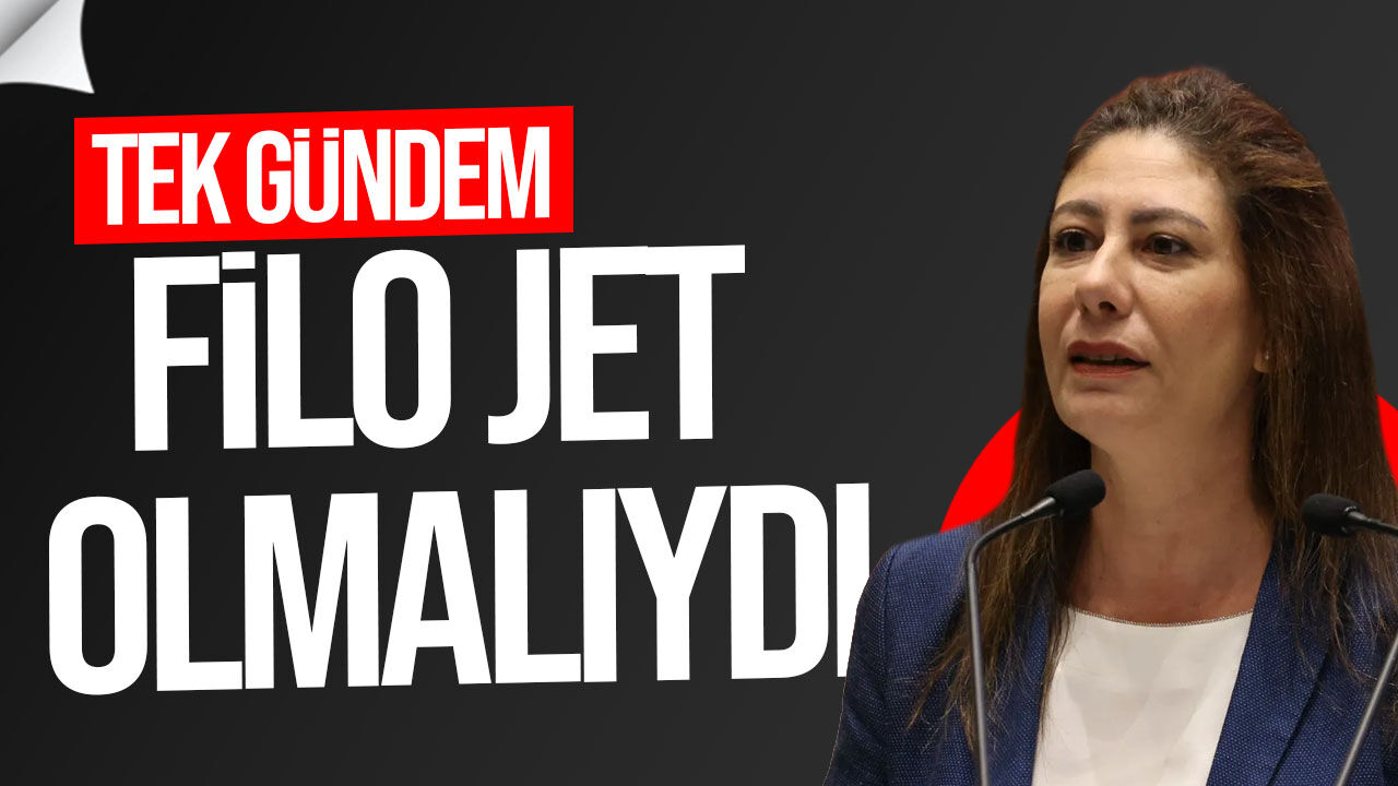 Sıla Usar İncirli’den Meclis gündemine tepki