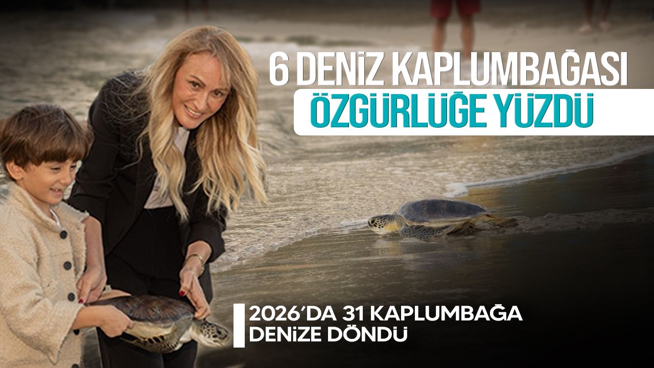 Meritta, 6 deniz kaplumbağasını doğal yaşamına kavuşturdu