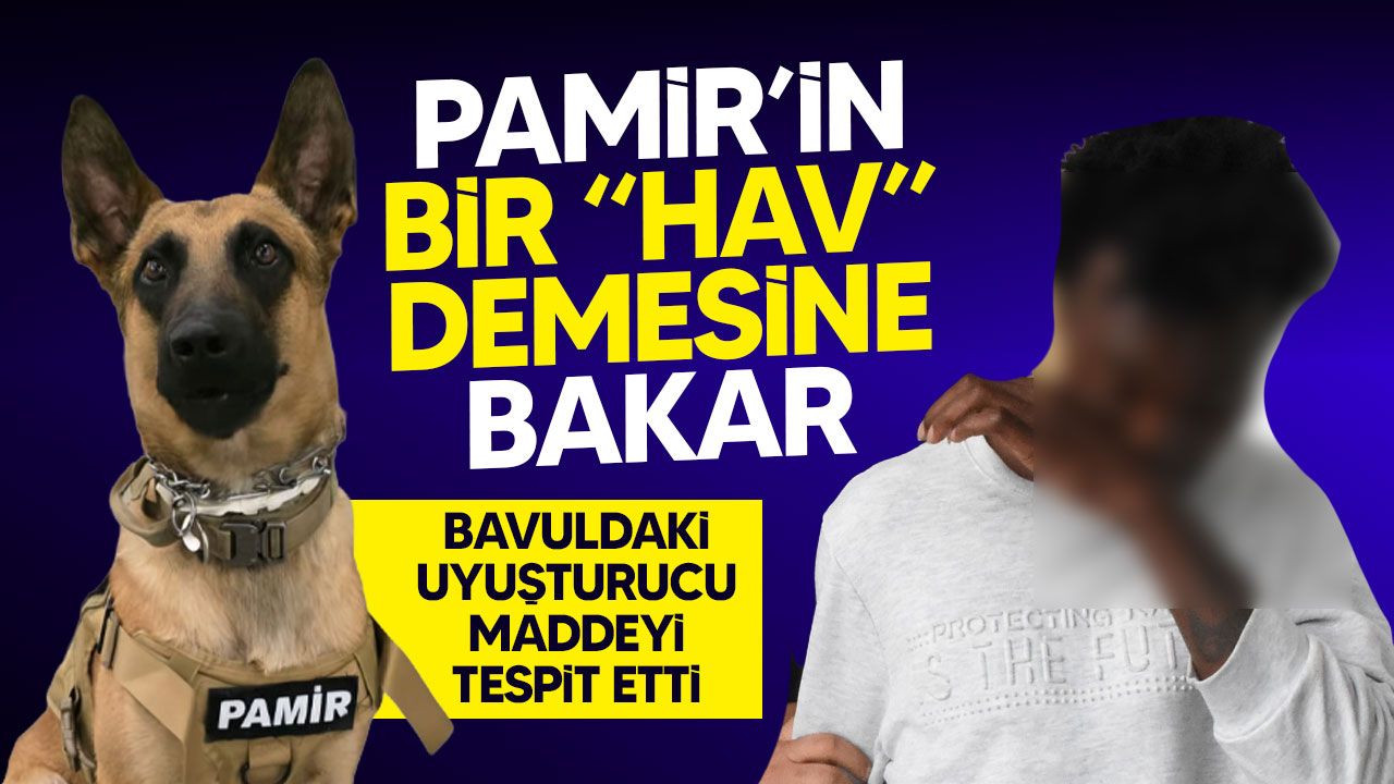 Narkotik köpeği Pamir bavuldaki uyuşturucu maddeyi tespit etti: Bir kişi tutuklandı