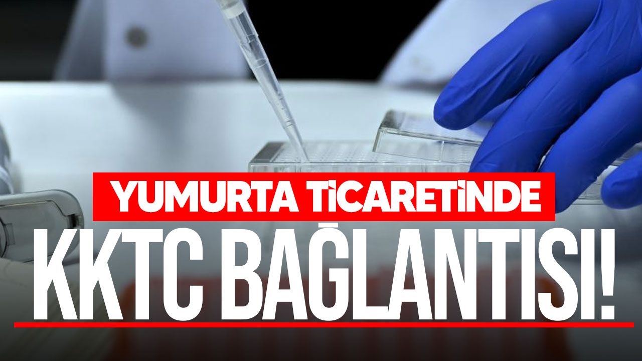 Yasa dışı yumurta ticaretinde KKTC bağlantısı: 811 işlem, 2 milyon euroluk para trafiği!